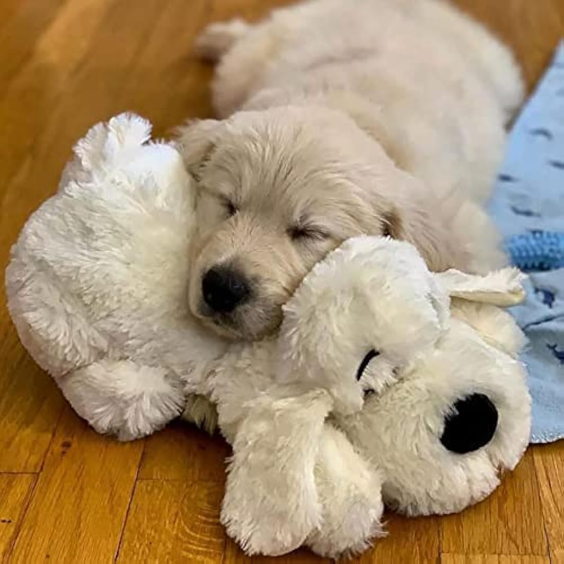 Snuggle Puppy Heartbeat Toy – Calming Anxiety Relief Aid for Dogs