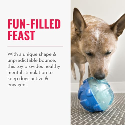 KONG Rewards Ball – Durable Interactive Treat Dispensing Toy for Large Dogs