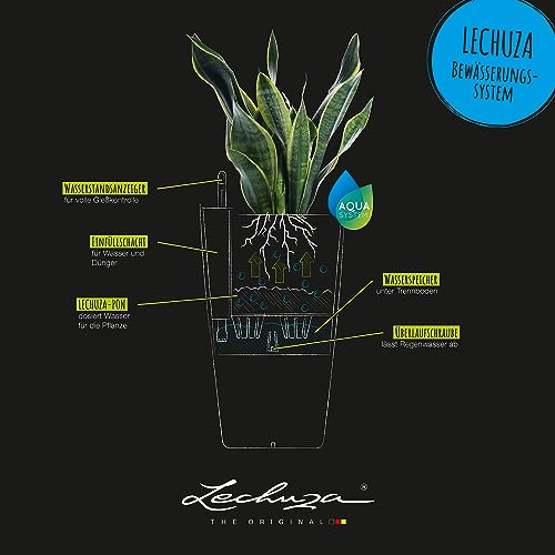 Lechuza CILINDRO Color 23 Self-Watering Planter | Sand Brown Plastic