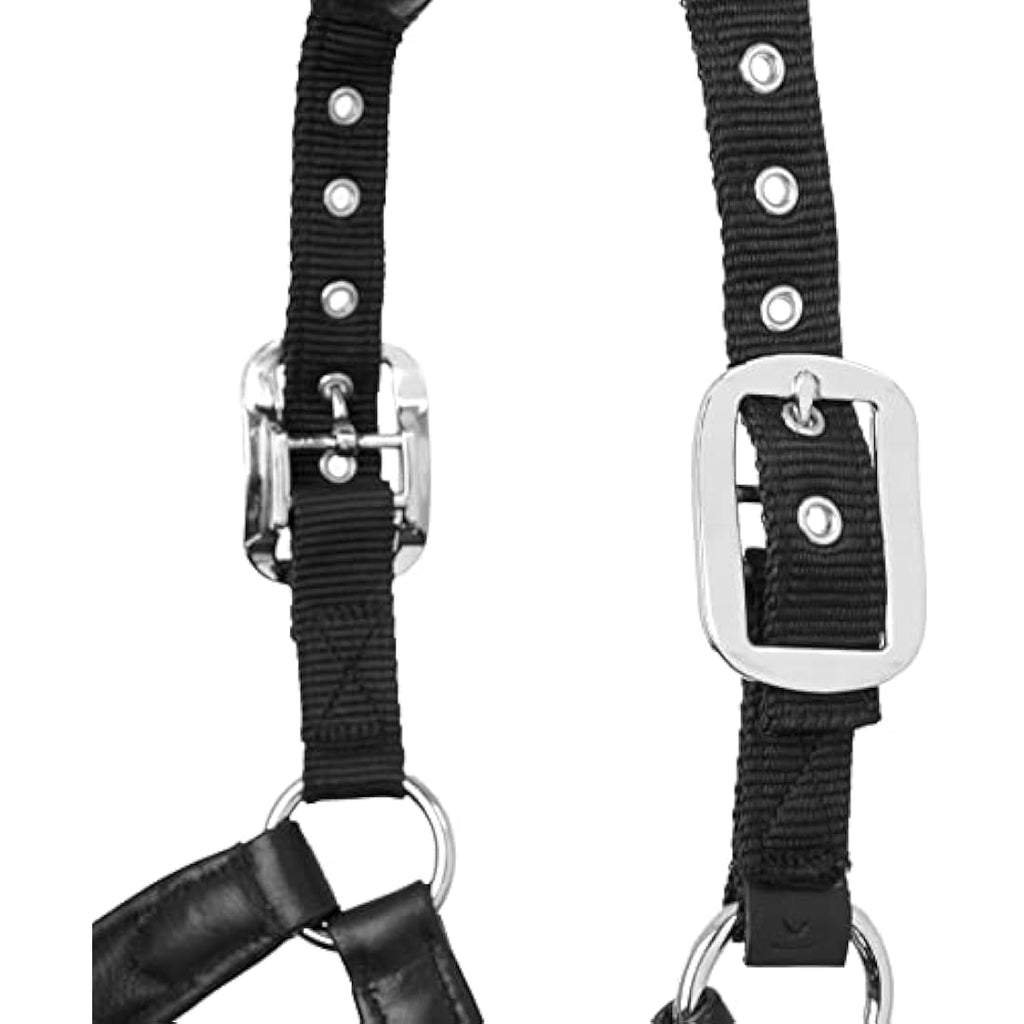 LeMieux Bug Relief Fly Mask – UV Protection & Breathable Mesh Ears
