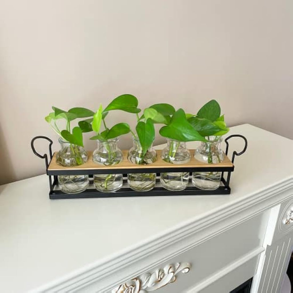 THYGIFTREE Plant Propagation Station | 5 Glass Jars with Metal Stand