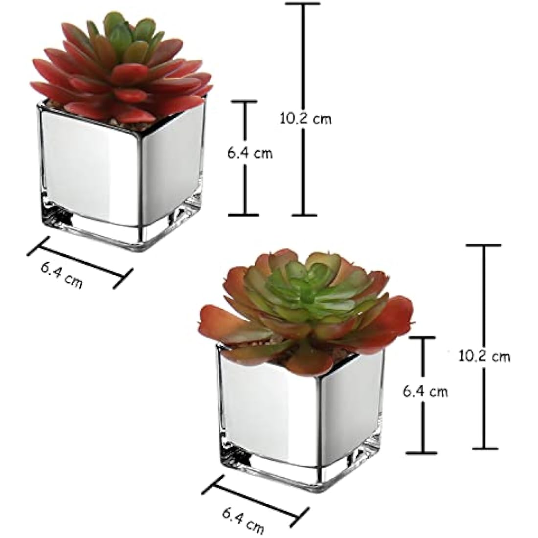 Mini Artificial Succulents – Set of 2 Faux Plants in Glass Pots