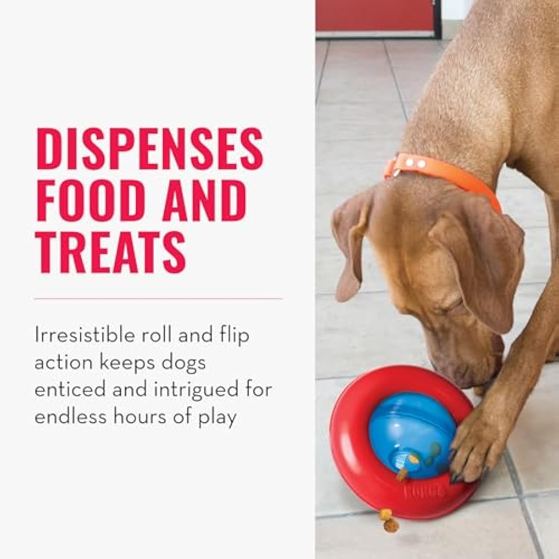 KONG Gyro Interactive Dog Toy – Treat Dispensing Slow Feeder for Large Dogs