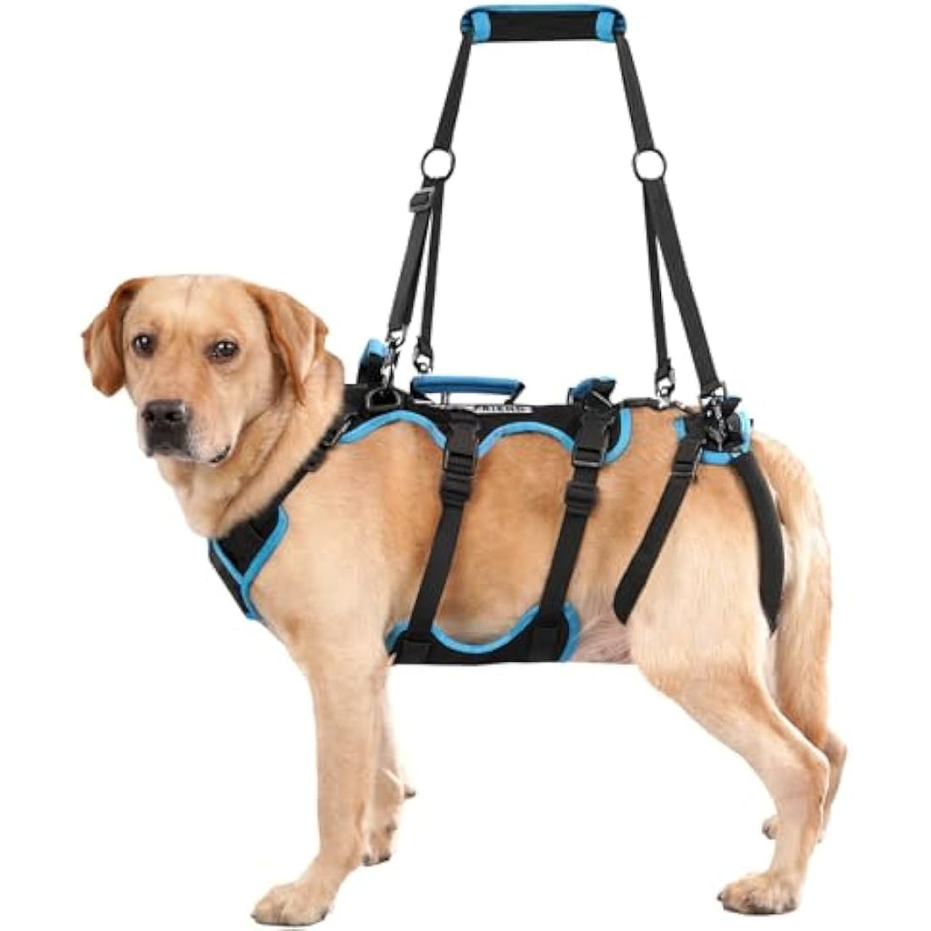 Lafoty Dog Lift Harness – Male Dog Mobility Support Sling for Large Dogs
