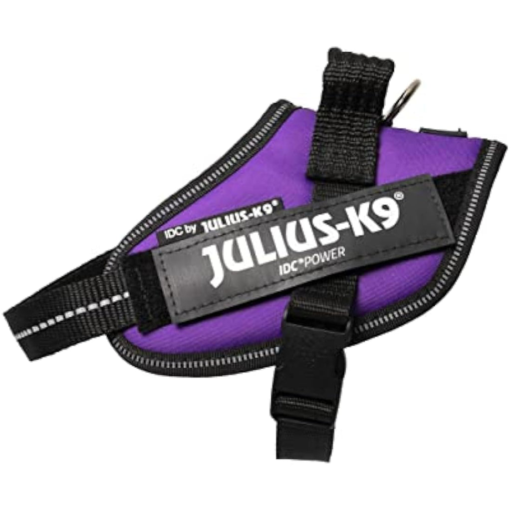 Julius-K9 IDC Powerharness | Reflective Dog Harness - Dark Purple, XS