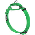 Hyhug  Martingale Nylon Dog Collar – Large, Lime Green
