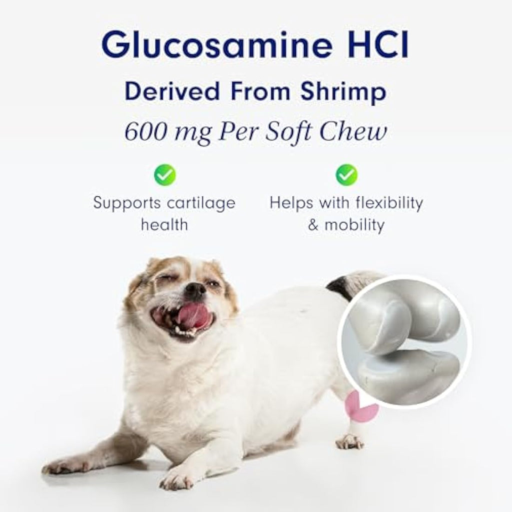 PetLab Co. Dog Joint Care Chews – Glucosamine & Turmeric Supplements