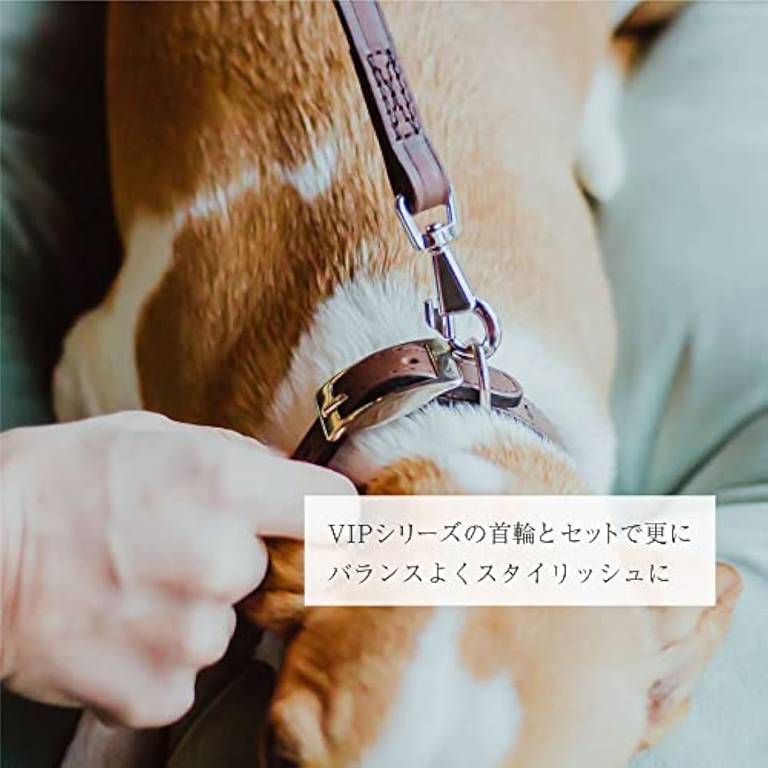 Ferplast VIP G20/150 Bull Leather Dog Lead | Durable Brown Leash