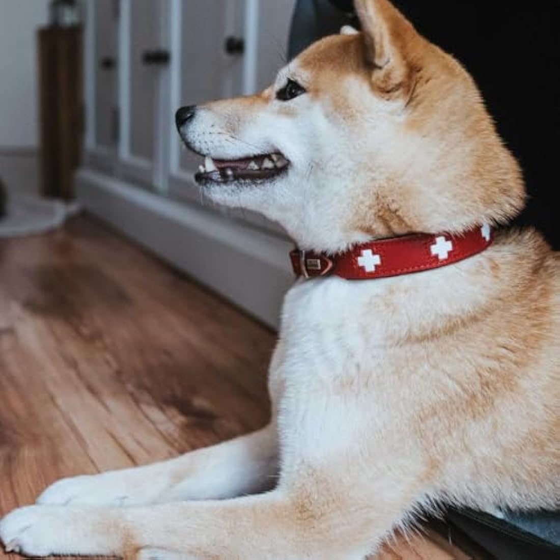 Hunter Organic Leather Dog Collar - Red/Black Stainless Steel - 30-34.5cm