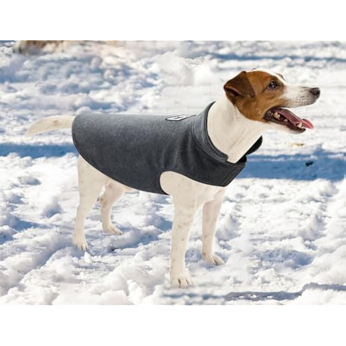 Morezi Reversible Fleece Dog Coat | Warm Reflective Winter Jacket - Gray