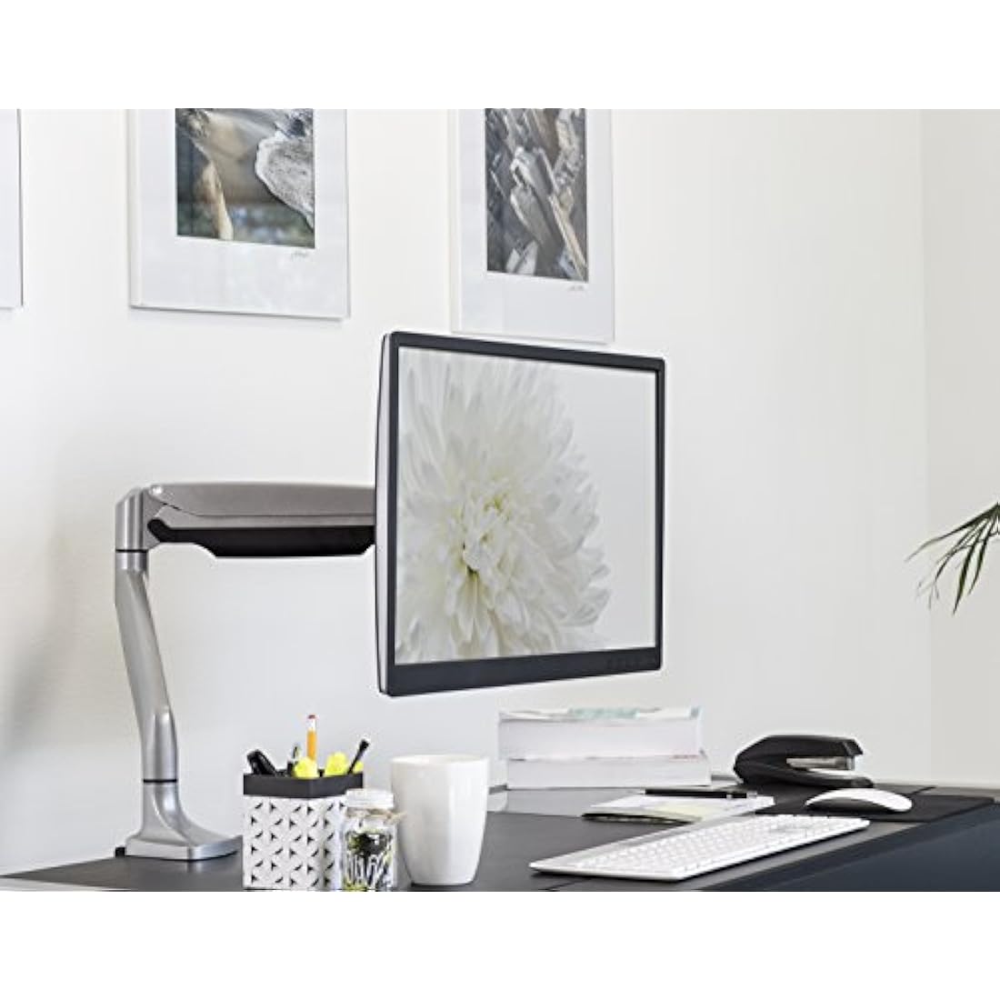 Mount-It! Single Monitor Arm – Gas Spring Desk Mount for 19-32" Screens
