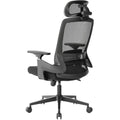 Realm of Thrones VALOUR Ergonomic Mesh Office Chair with 3D Lumbar Support