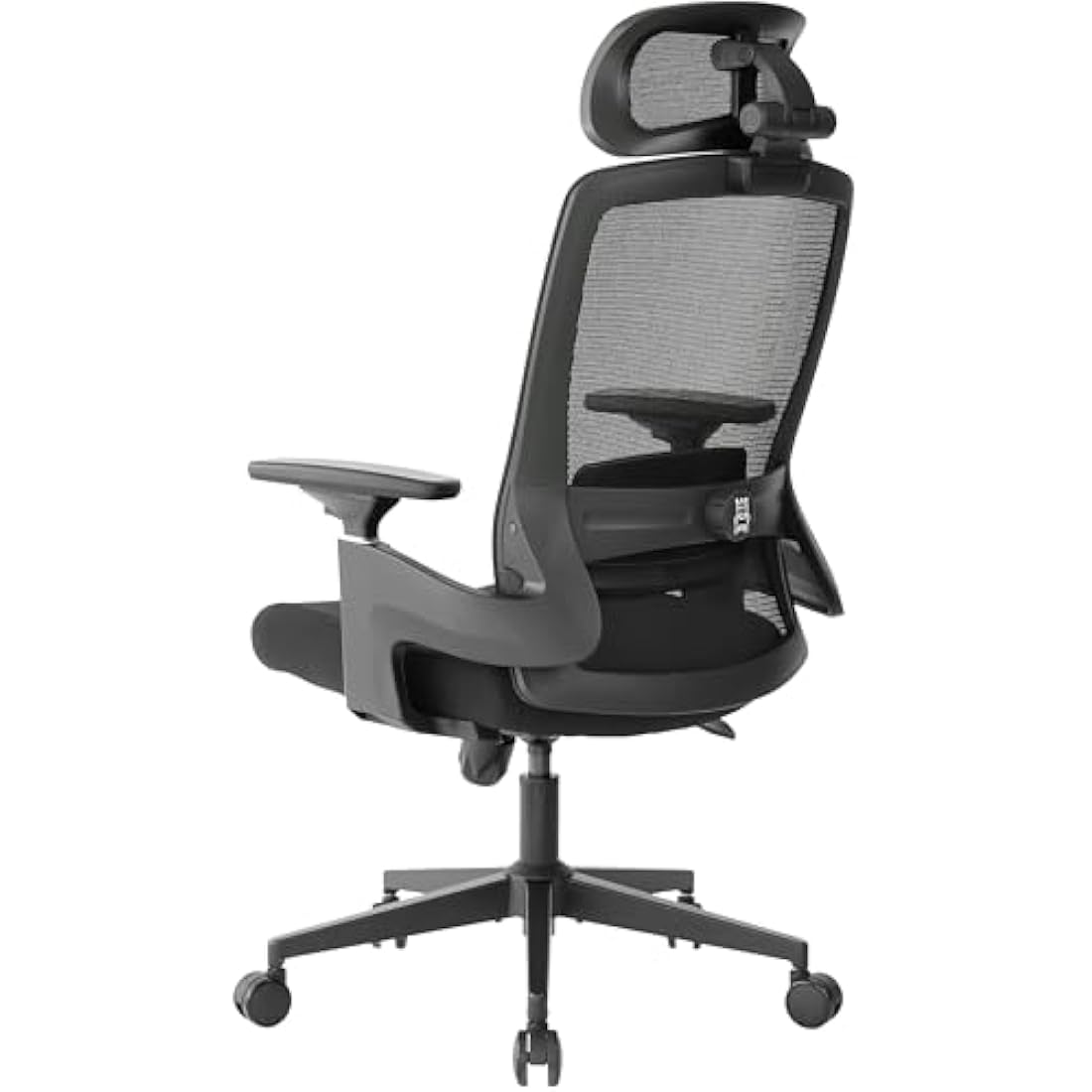 Realm of Thrones VALOUR Ergonomic Mesh Office Chair with 3D Lumbar Support