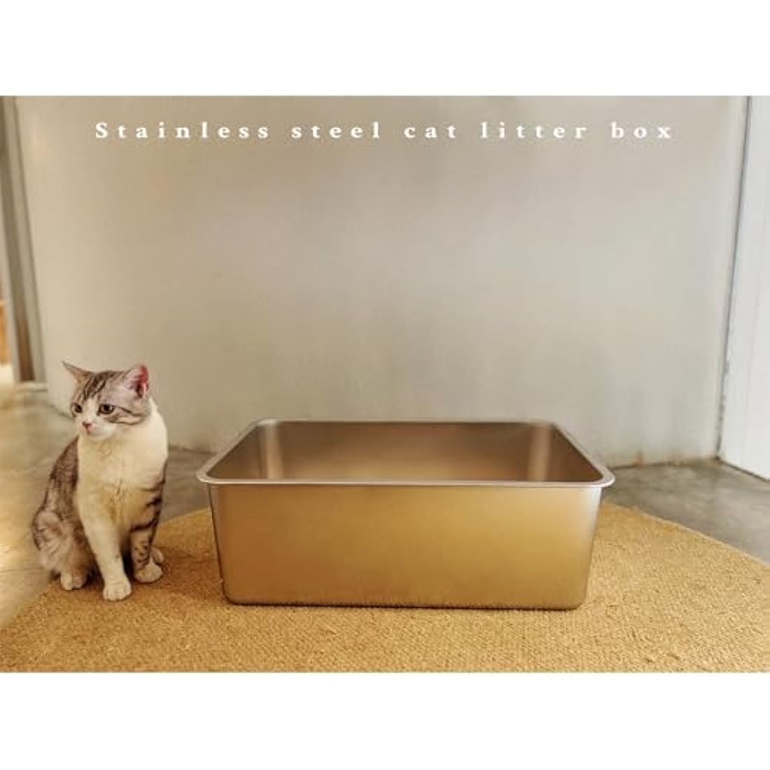 Stainless Steel Cat Litter Box – Extra Large High Sided Metal