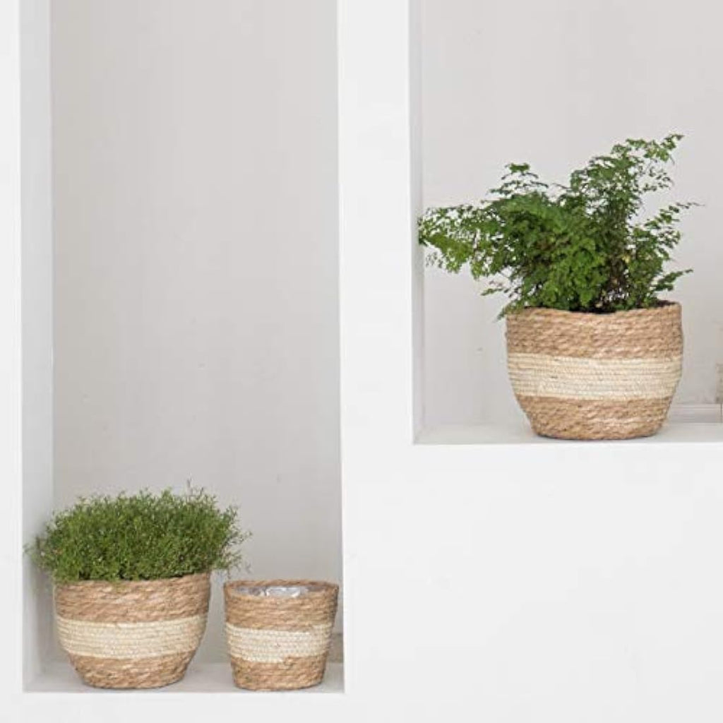 La Jolíe Muse Seagrass Planter Basket - Handwoven Indoor Pots, 3-Pack