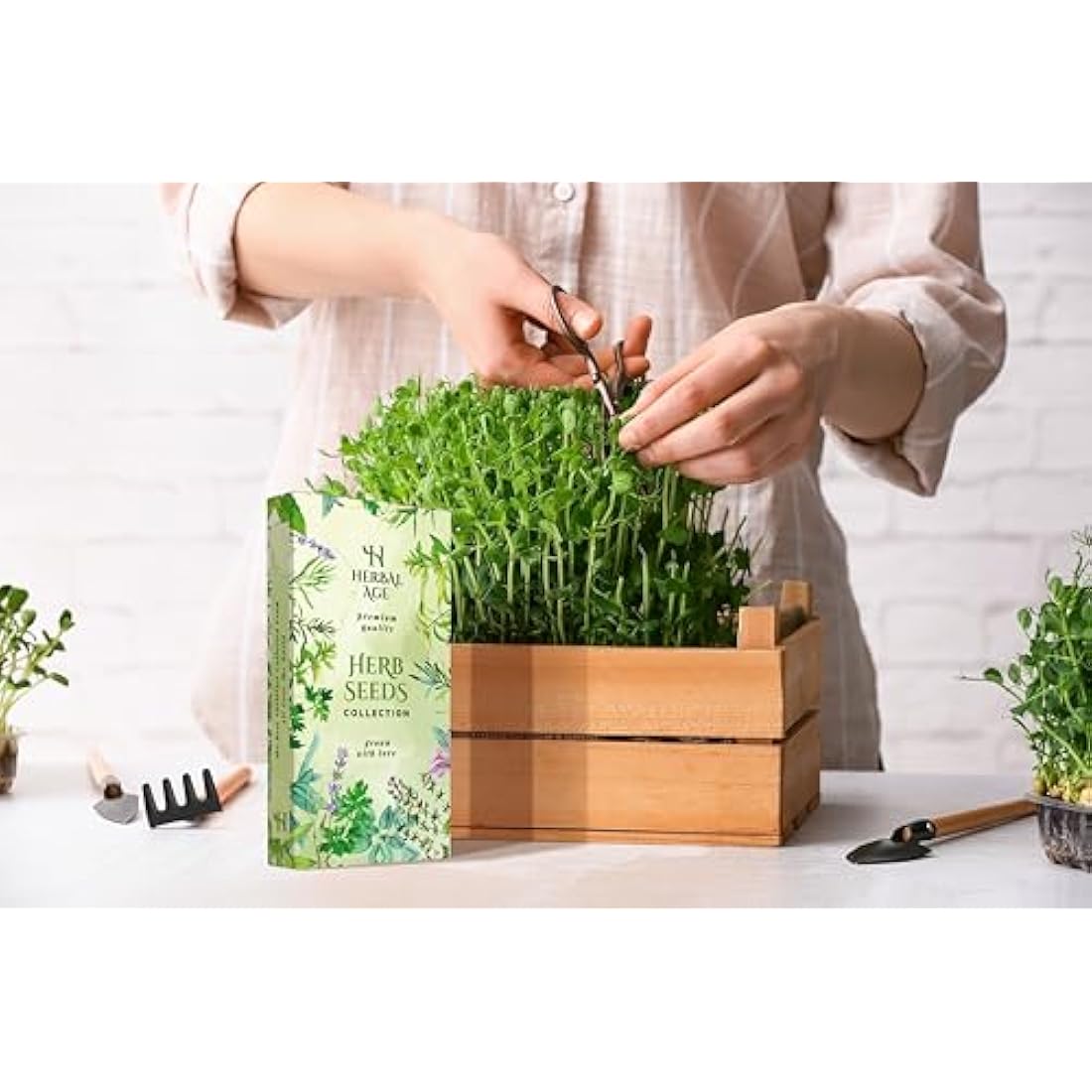 Herbal Age Herb Garden Kit - 12 Culinary Varieties & 8700+ Seeds