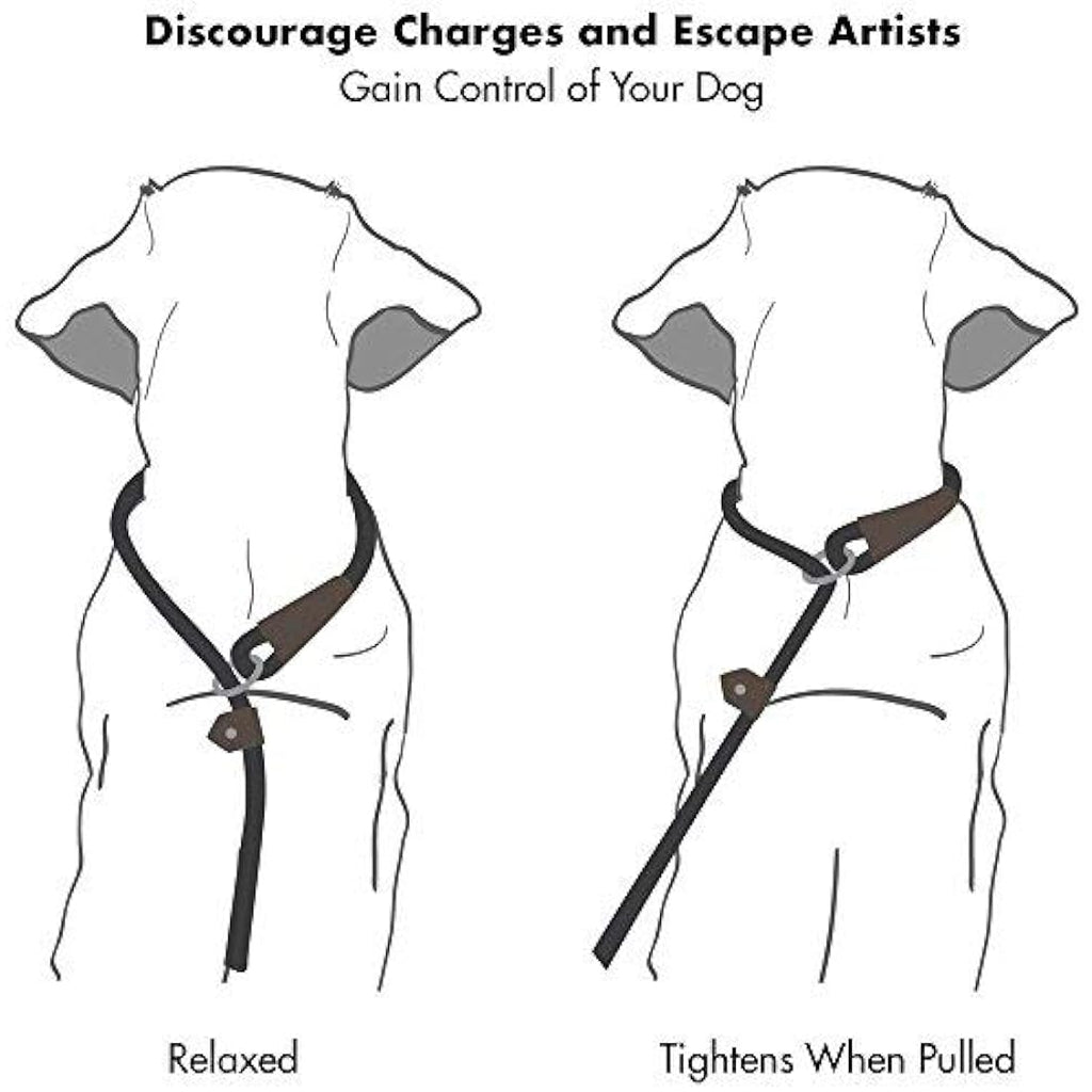 Reflective Dog Rope Leash – Durable Heavy Duty Slip Lead, 6ft