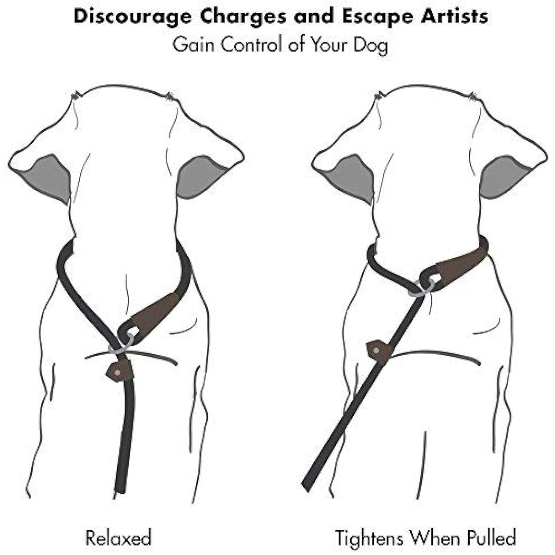 Reflective Dog Rope Leash – Durable Heavy Duty Slip Lead, 6ft