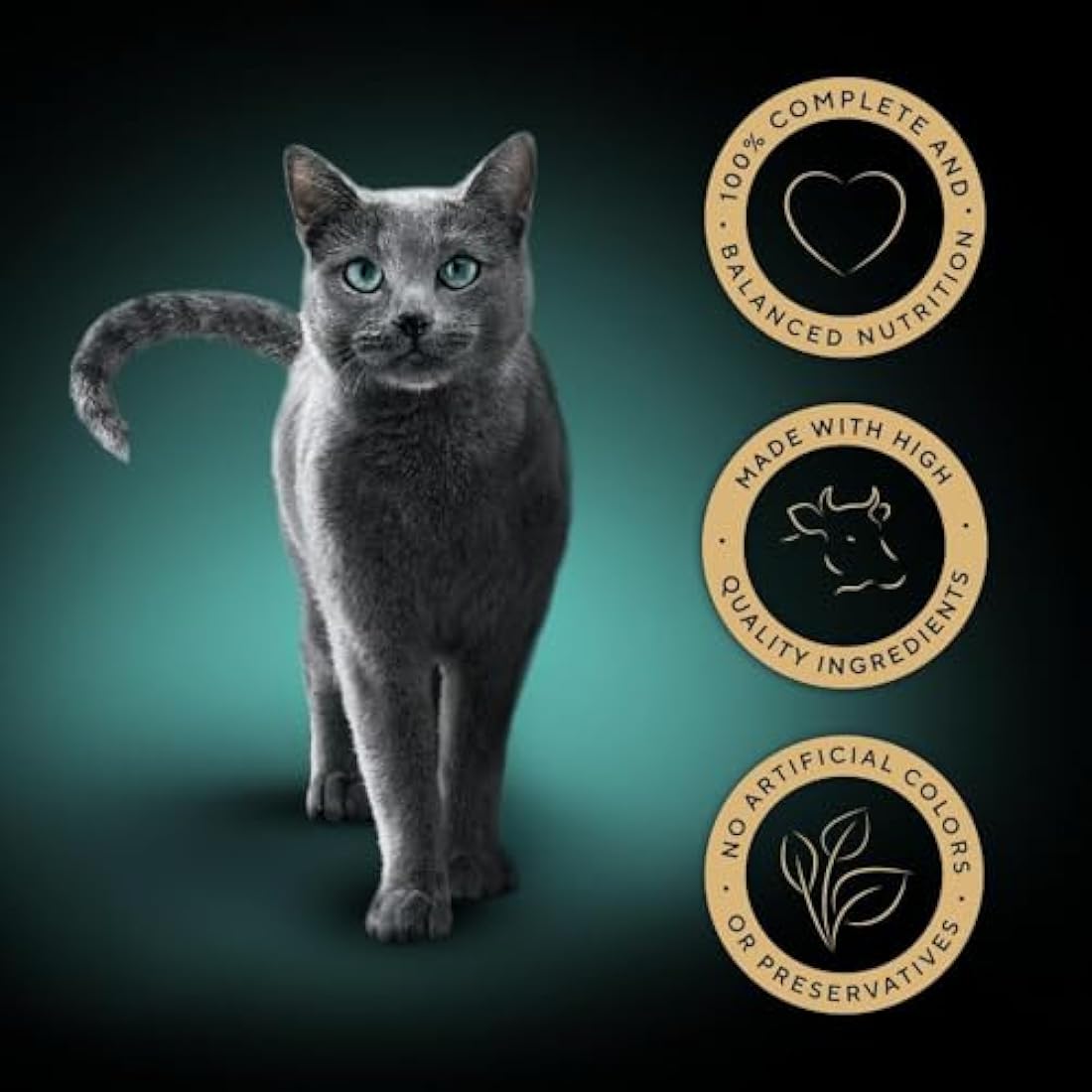 Sheba Select Slices Beef in Gravy Wet Cat Food - 22 x 85g Multipack