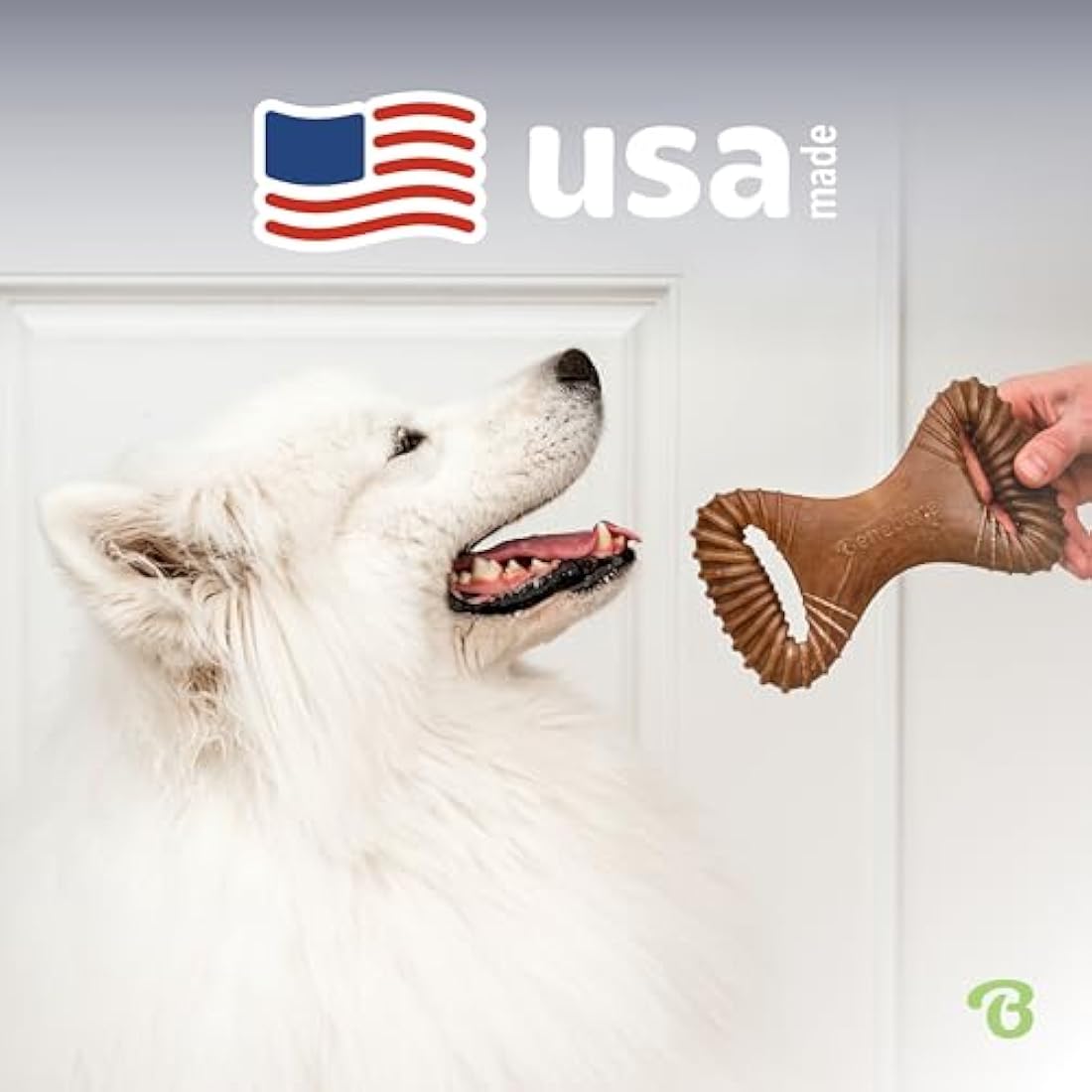Benebone Dental Dog Chew Toy – Real Bacon Flavor Nylon for Small Dogs