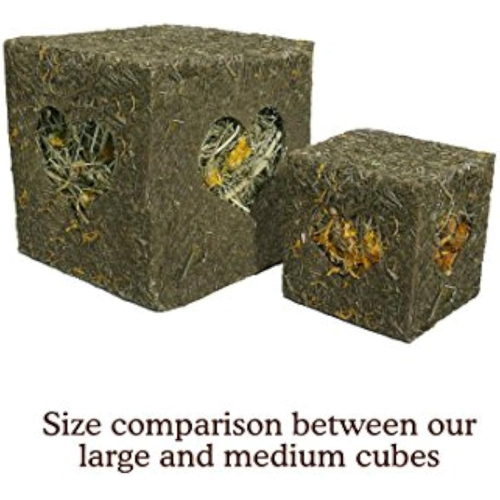 Rosewood Naturals Meadow Hay Forage Cube – Large Small Animal Chew Toy