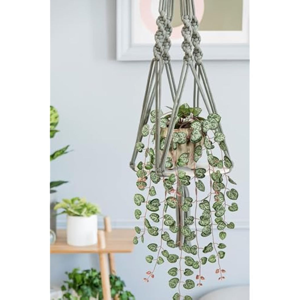 Hollyone Artificial String of Hearts - Faux Trailing Plant in Ceramic Pot