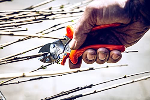 Original Lowe 5 Anvil Garden Shears – 17.5cm Carbon Steel Pruners