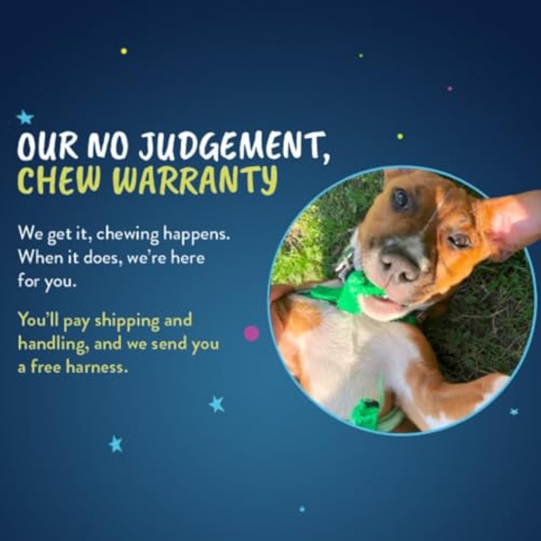 2 Hounds Design Freedom No-Pull Dog Harness & Leash | Teal, Medium
