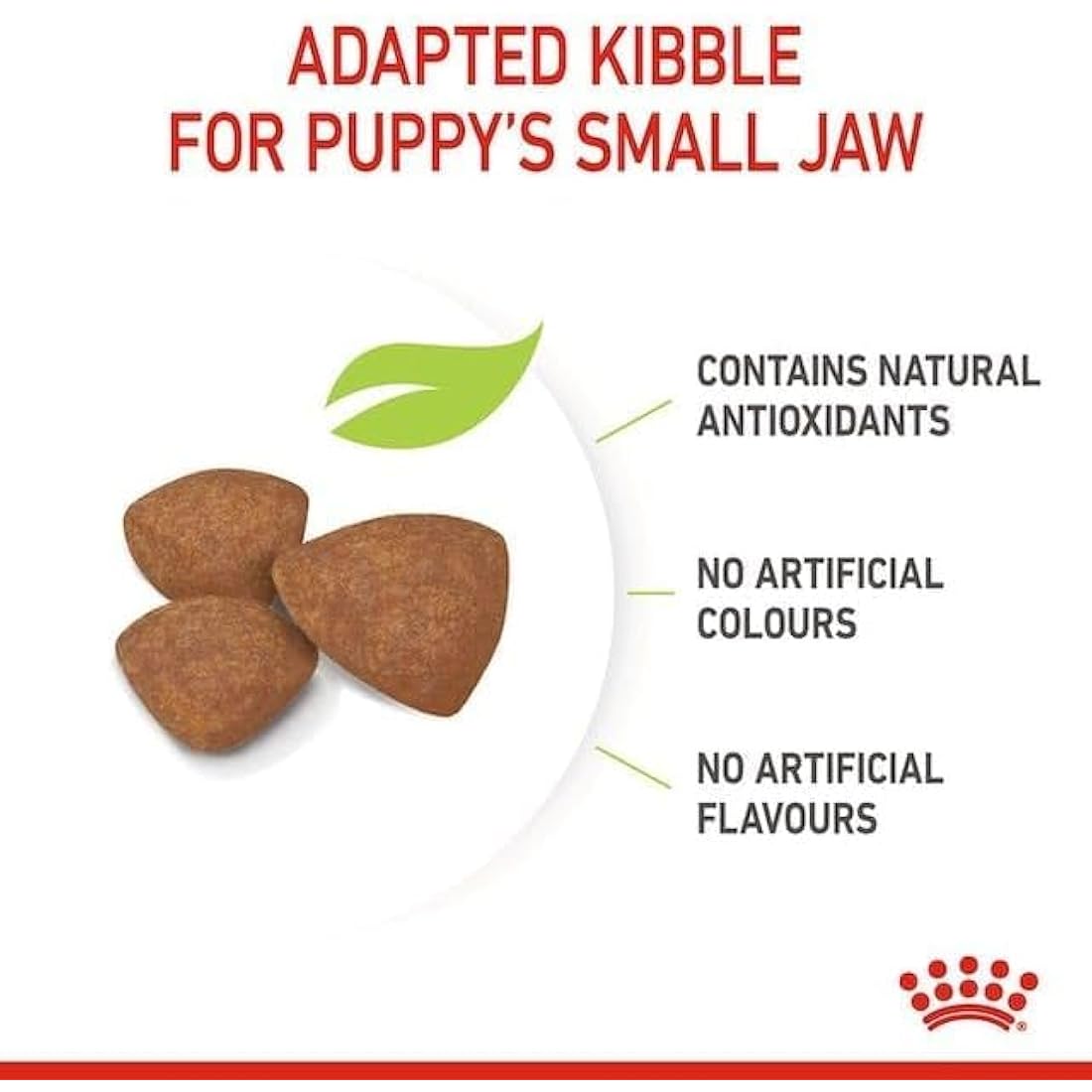 Royal Canin Mini Puppy Dry Dog Food – Small Breed Kibble, 800g