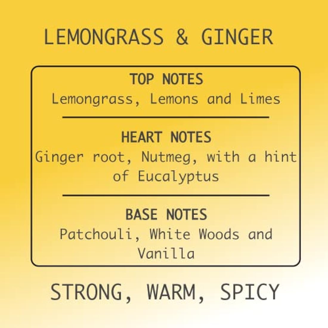 Lemongrass & Ginger Hand Soap & Body Wash - 250ml Vegan