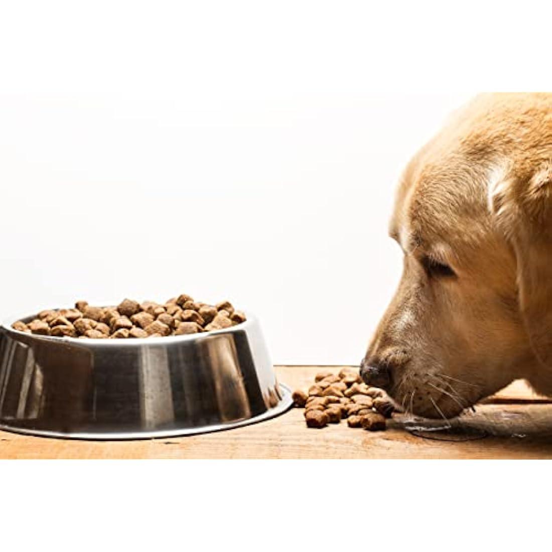 Skinner’s Field & Trial Duck & Rice Hypoallergenic Active Dog Food - 15kg
