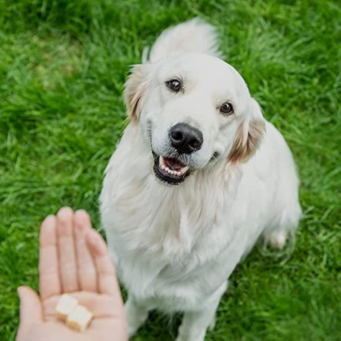 8in1 Meaty Treats Freeze Dried Chicken and Carrot Dog Snacks - 50g