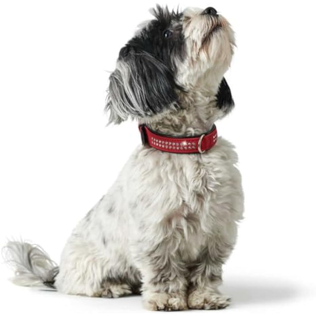 Hunter Softie Deluxe Red Leather Dog Collar with Swarovski Elements