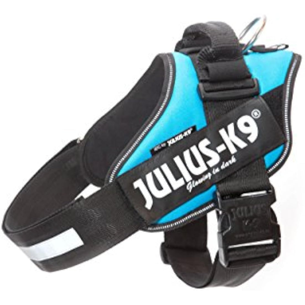 Julius-K9 IDC Powerharness Dog Harness | Aquamarine | Size 3