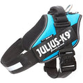Julius-K9 IDC Powerharness Dog Harness | Aquamarine | Size 3