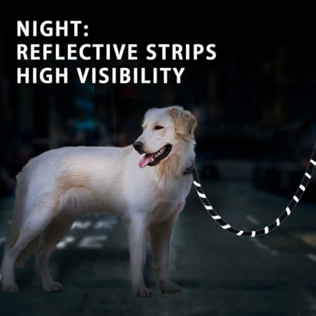 Aitodos 1.8m Reflective Rope Dog Lead | Anti-Pull Training Leash - Black