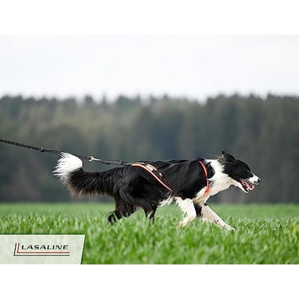 LASALINE X-Back Dog Pulling Harness for Canicross and Bikejoring