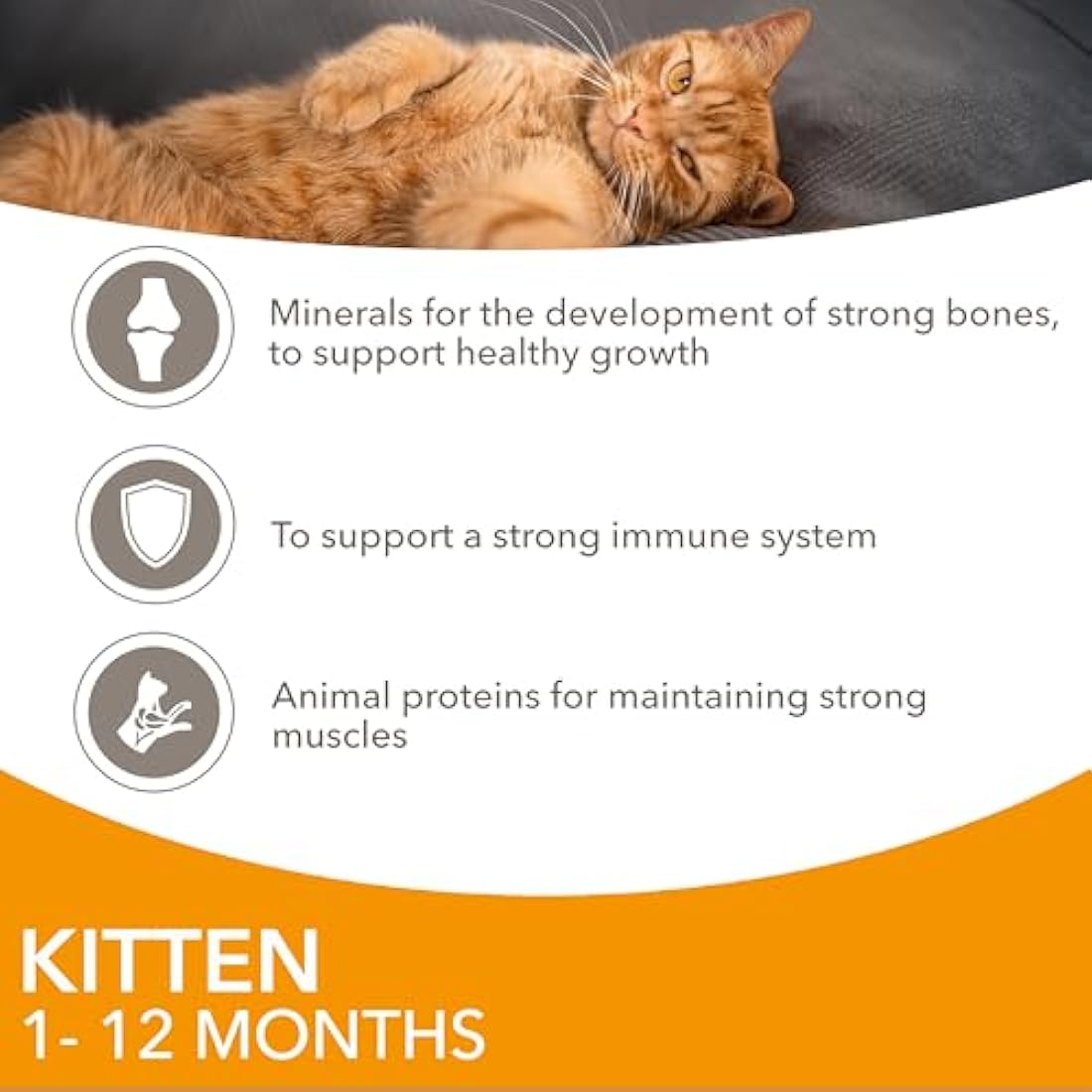 IAMS Kitten Wet Cat Food – Chicken in Gravy – 12 x 85g Multipack