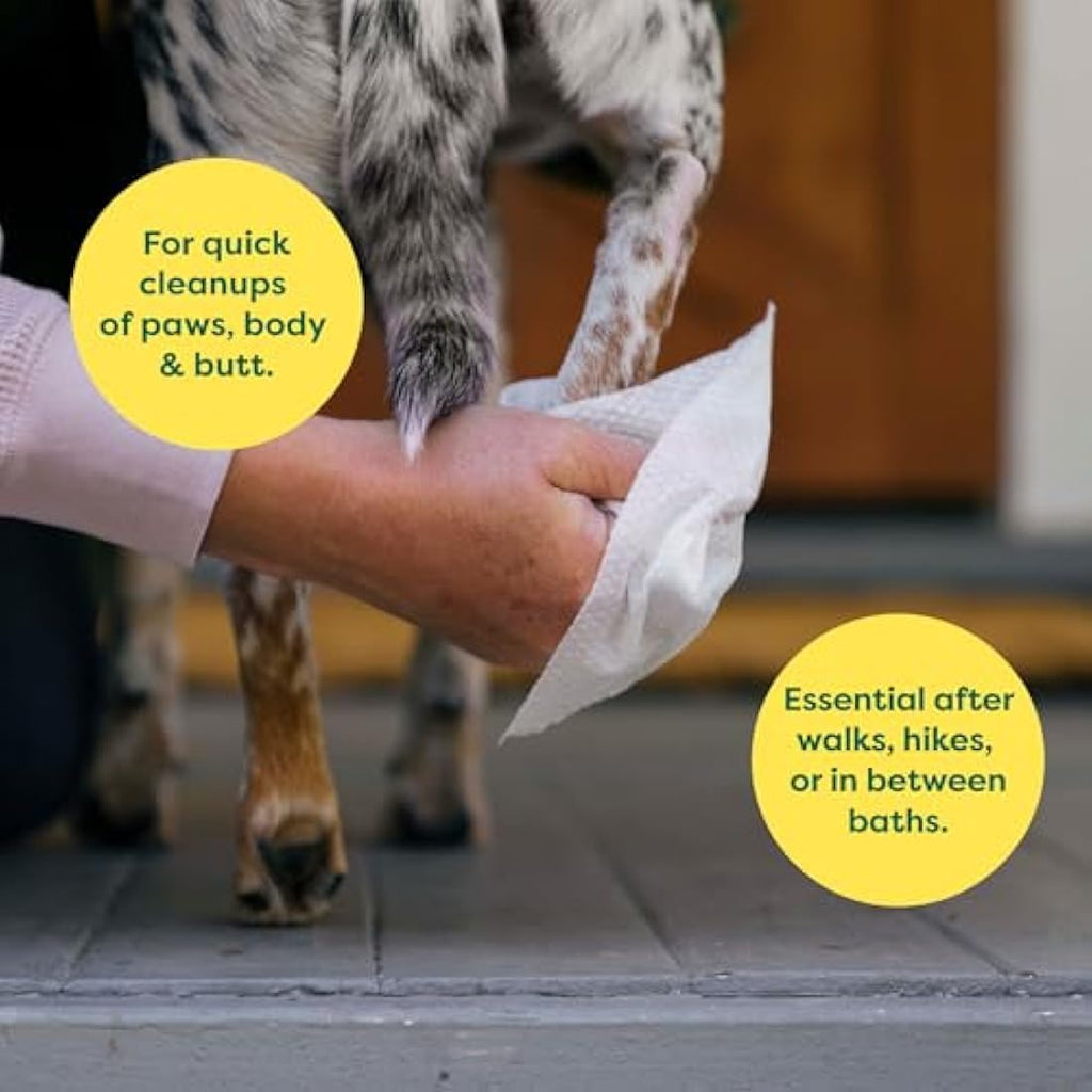 Earth Rated Hypoallergenic Lavender Dog Wipes for Paws & Body – 400 Count