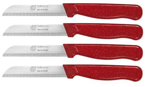 GGS Solingen German Stainless Steel Serrated Kitchen Knife Set - Red, 4pc
