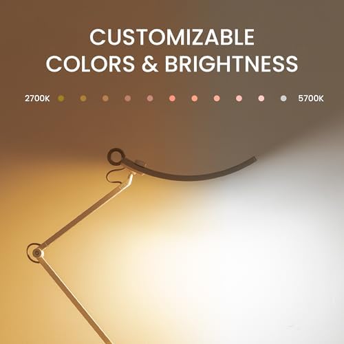 BenQ WiT e-Reading LED Desk Lamp | Eye-Caring & Dimmable | Matte Silver