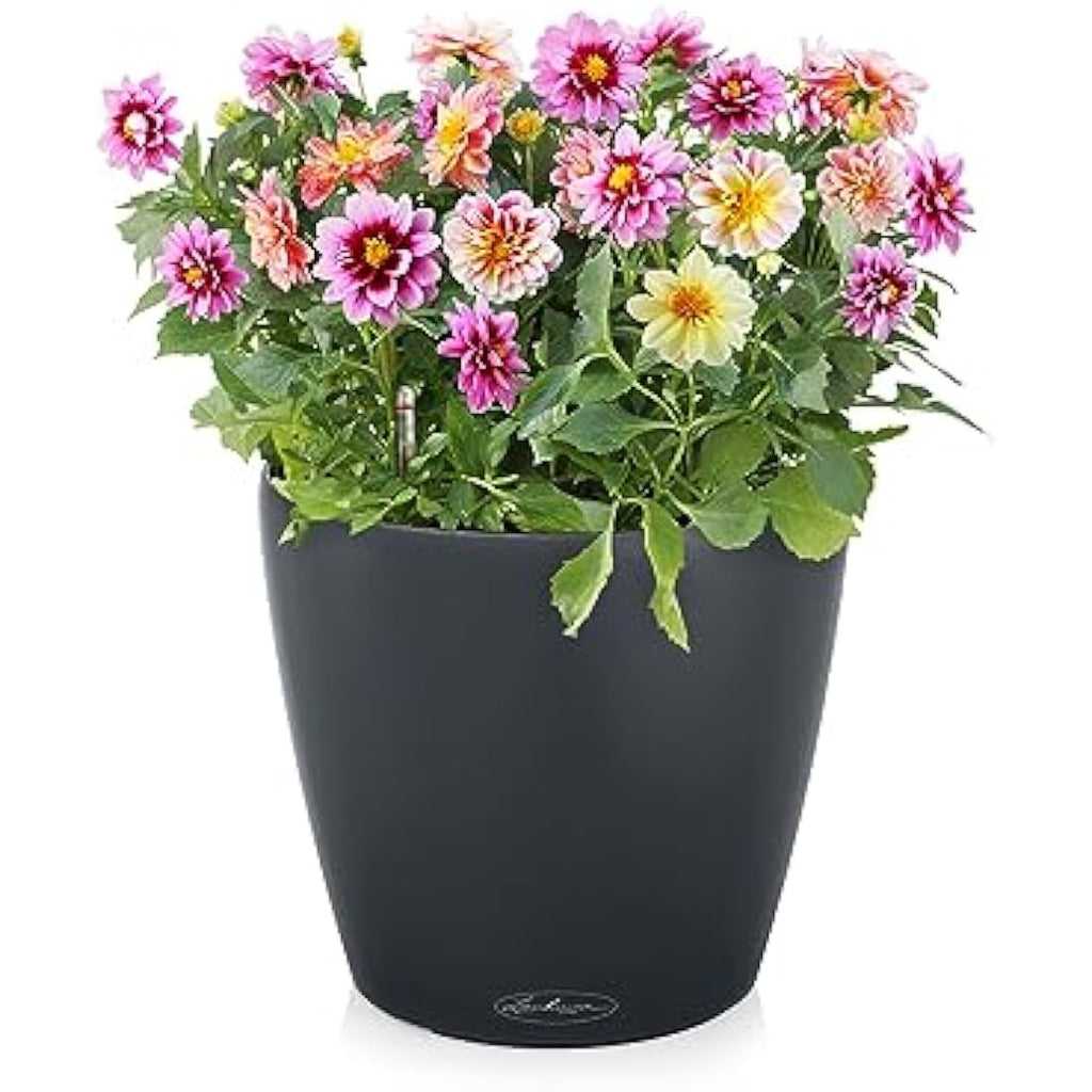 Lechuza CLASSICO Color 60 Self-Watering Planter | Large Slate Poly-Resin