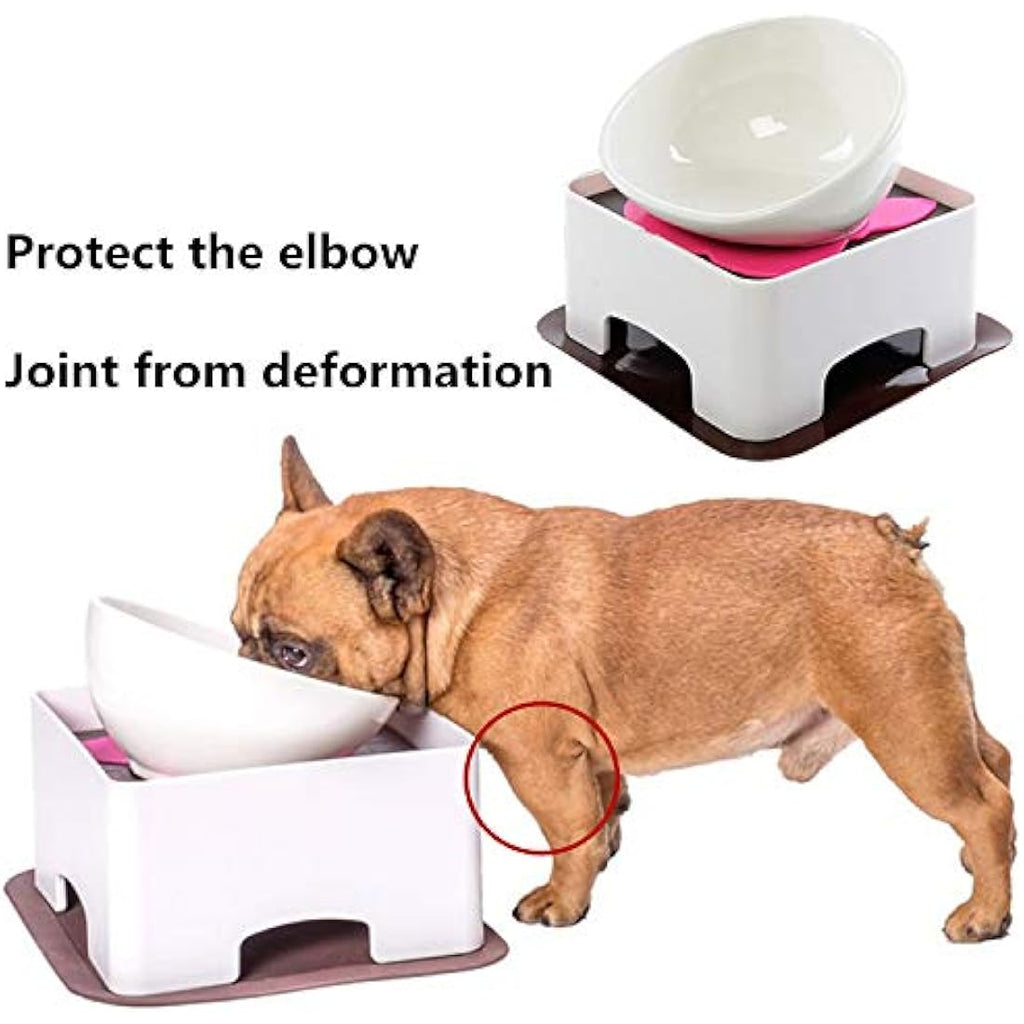 Ceramic Tilted Dog Bowl – Anti-Slip Feeder for Flat-Face Pets