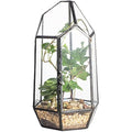 Geometric Glass Plant Terrarium – 22cm Modern Succulent Planter