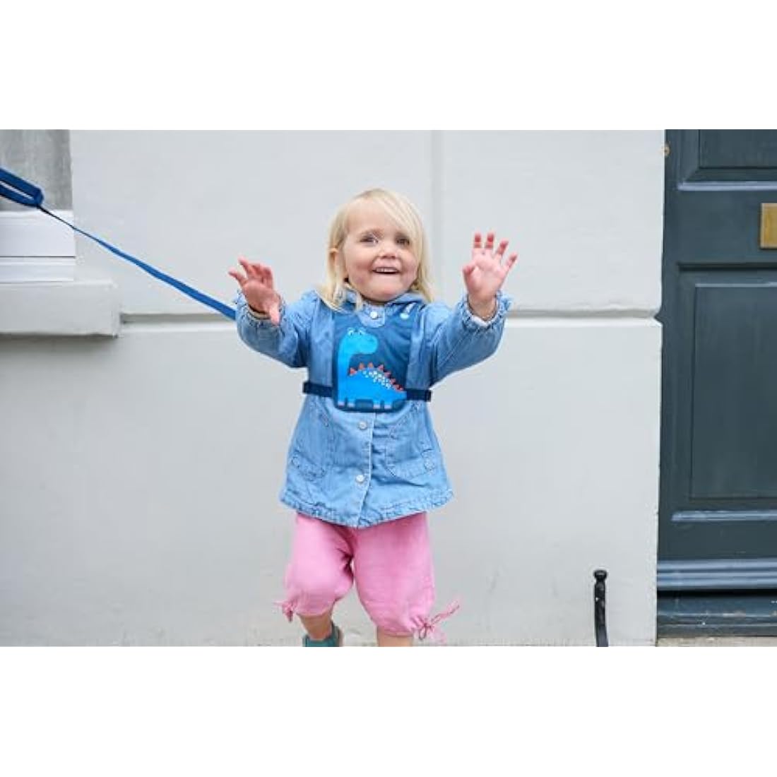LittleLife Toddler Safety Walking Harness & Reins | Adjustable 1-3 Years