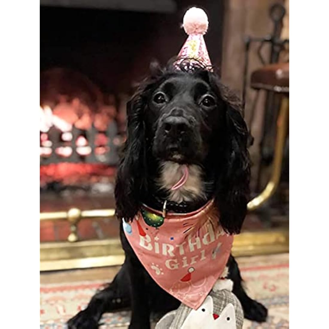 Dog 1st Birthday Hat and Bandana Set – Pink Pet Costume