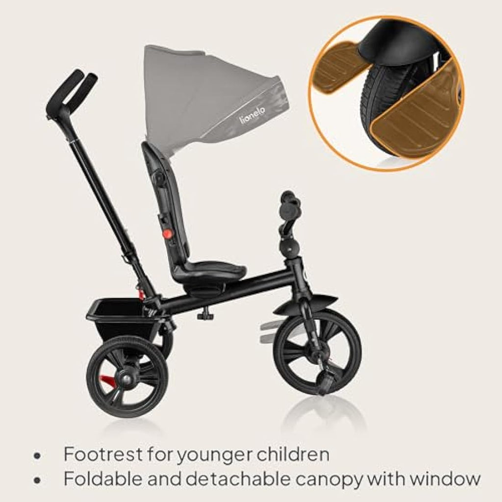 Lionelo Haari 2in1 Kids Tricycle Stroller with Swivel Seat & Canopy