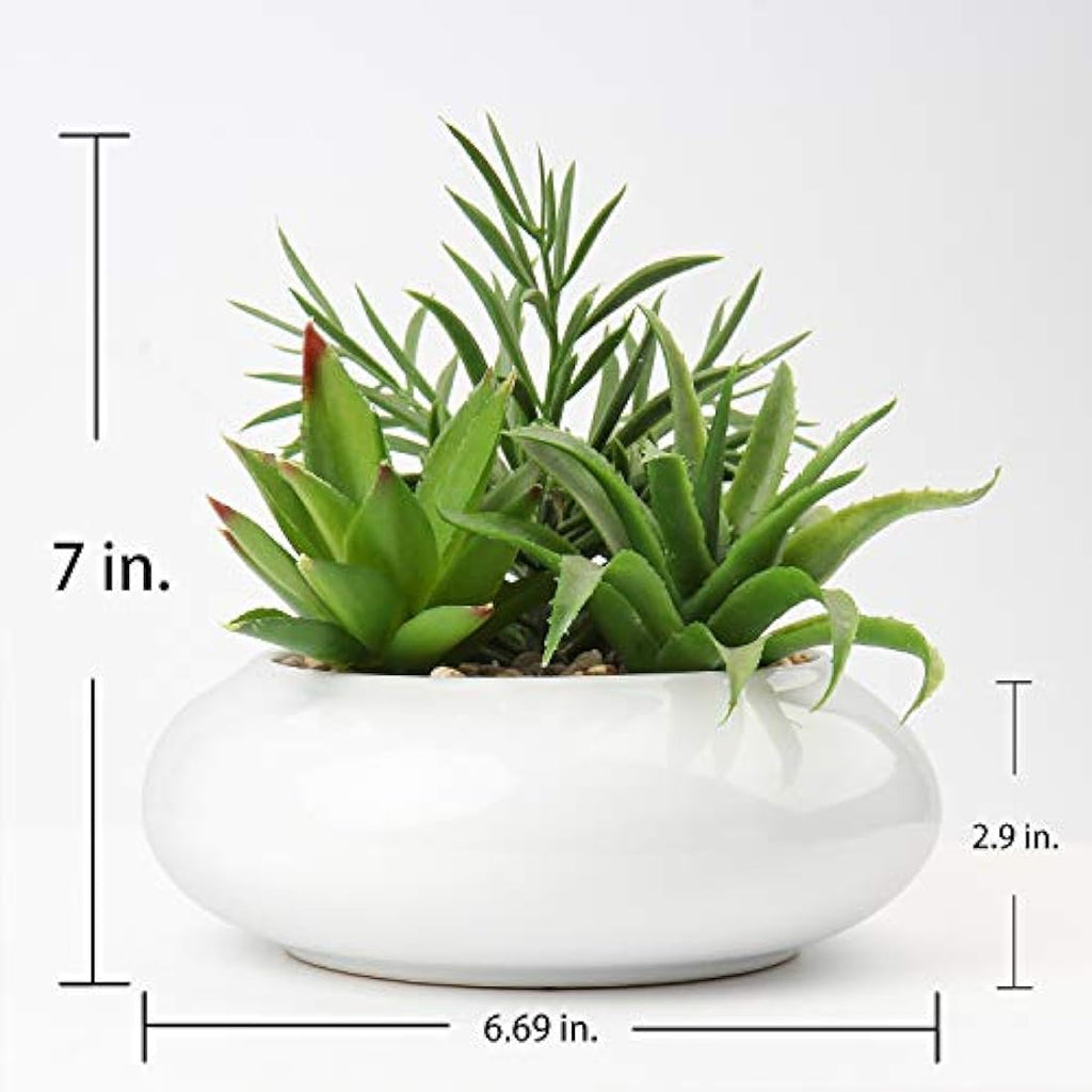 Briful Artificial Succulent Plants in White Ceramic Pot | Faux Desk Decor