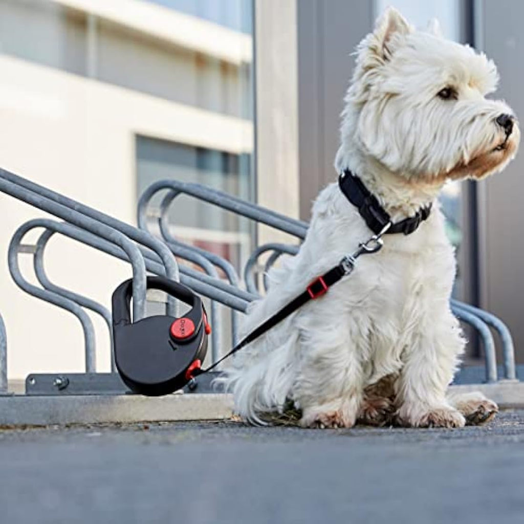 5m Retractable Dog Lead with Car Seatbelt Buckle