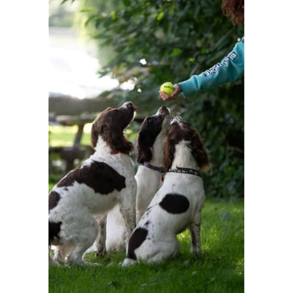 Petface Durable Tennis Balls for Dogs – High-Visibility Fetch Toy (3 Pack)